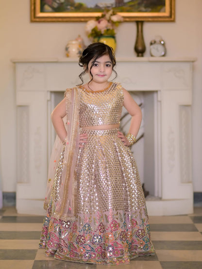 Aafreen Princess Festive Lehenga Set