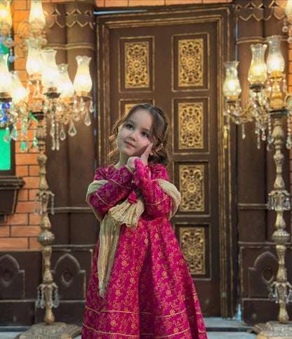 Mahnoor Royal Anarkali Set