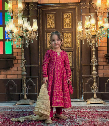 Mahnoor Royal Anarkali Set