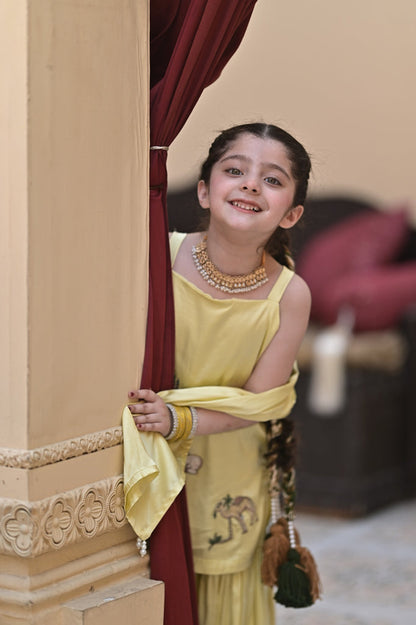 Lemon bakra eid gharara set