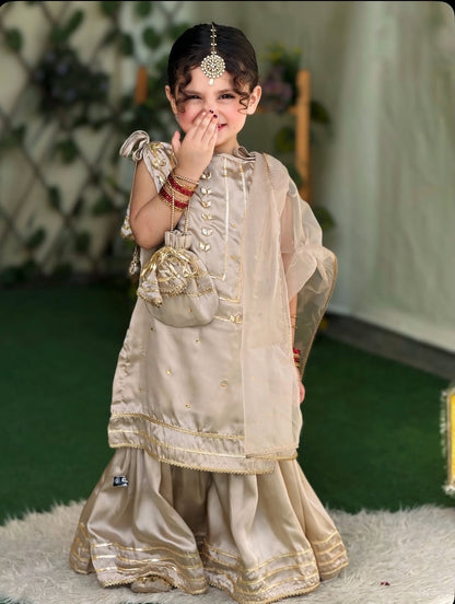 Elegant Festive Twirls Sharara Set