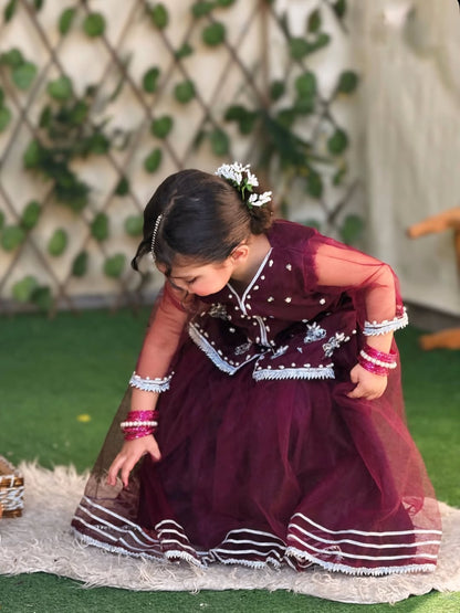 Zaylina Pearl Festive Top Lehenga Set