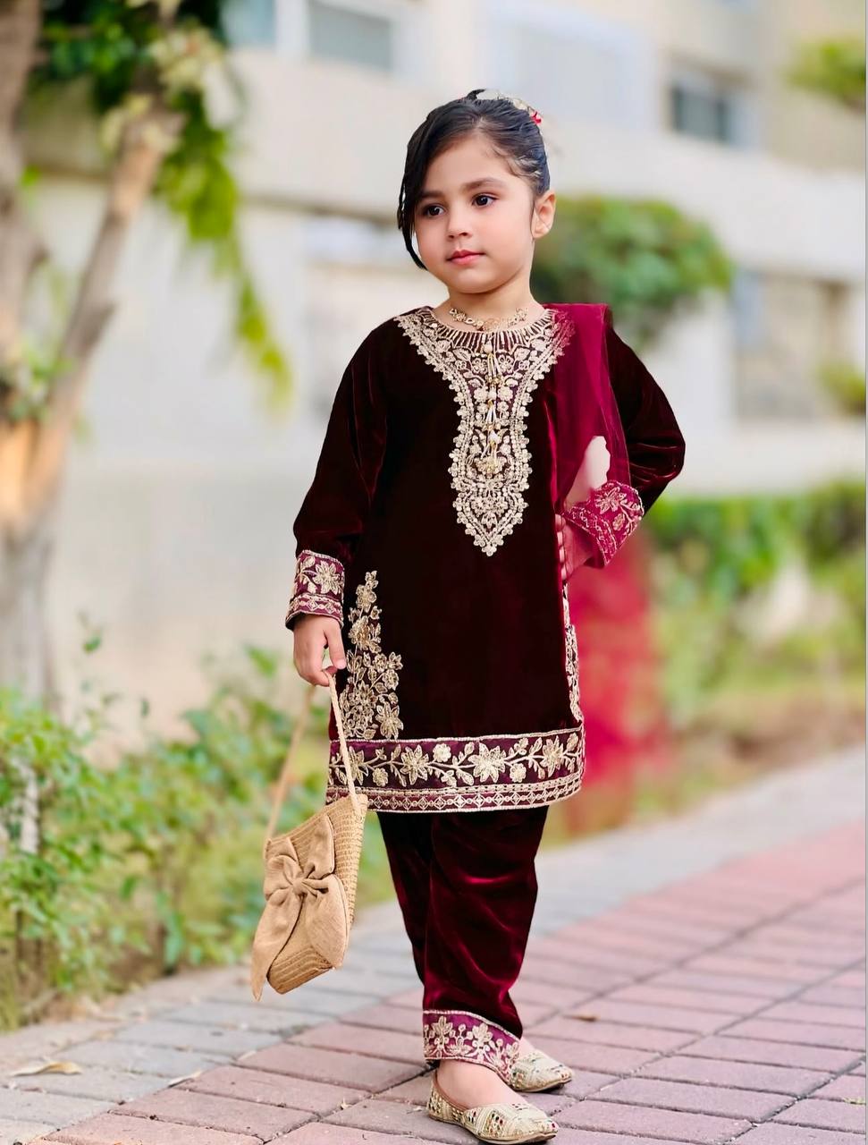 Aarohi Royal Velvet Suit Set